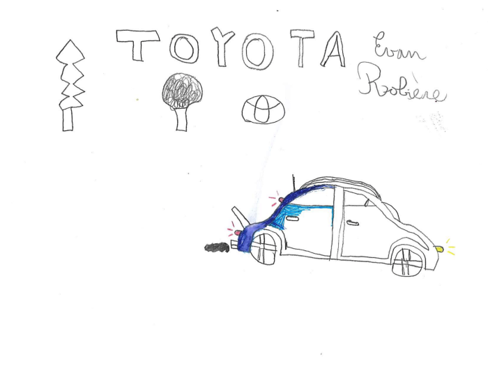 Toyota Guyane